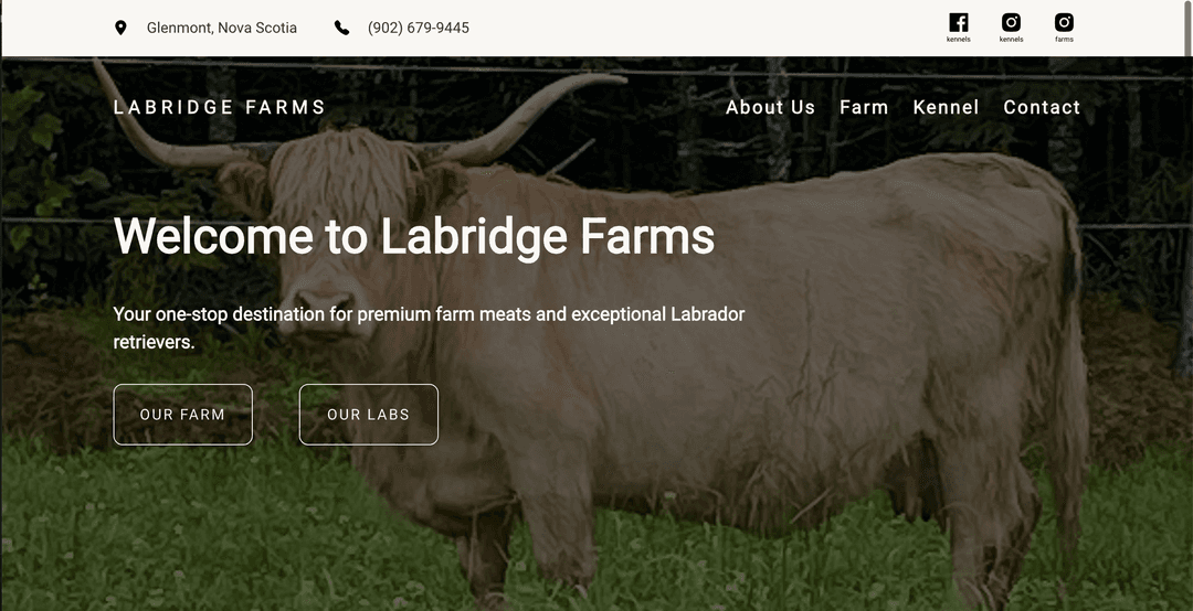 A preview of a website built by Blue Wave Dev