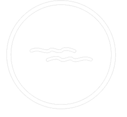 Blue Wave Dev's logo. A circle with two small waves